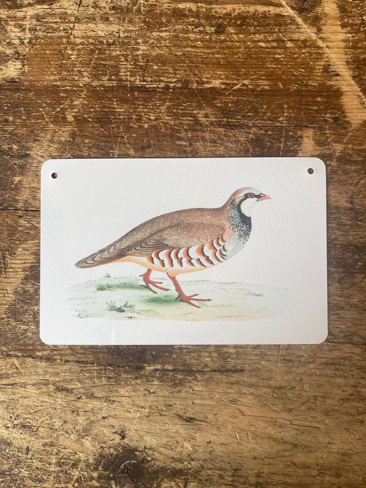 British Game Birds Red Leg Partridge | Metal Sign