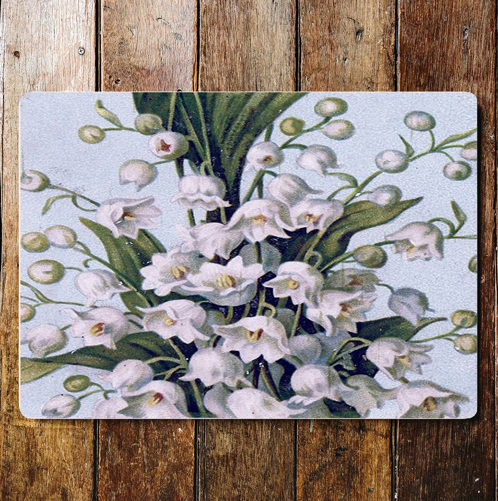 White Snow Drops Flowers | Metal Wall Sign Plaque