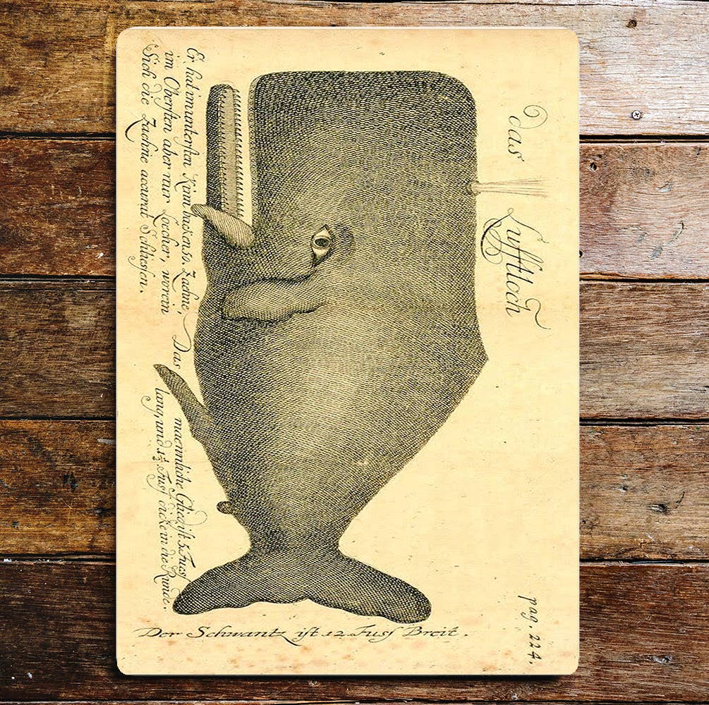 Whale | Metal Wall Sign Plaque