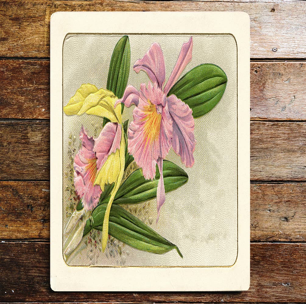 Pink And Yellow Flowers Green Leaves Metal Sign plaque