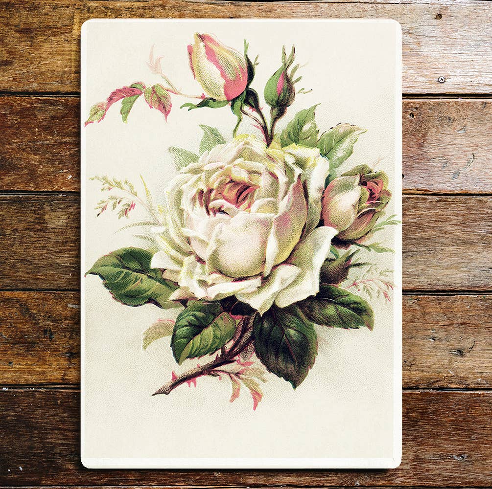 White & Pink Roses Stem | Metal Wall Sign Plaque