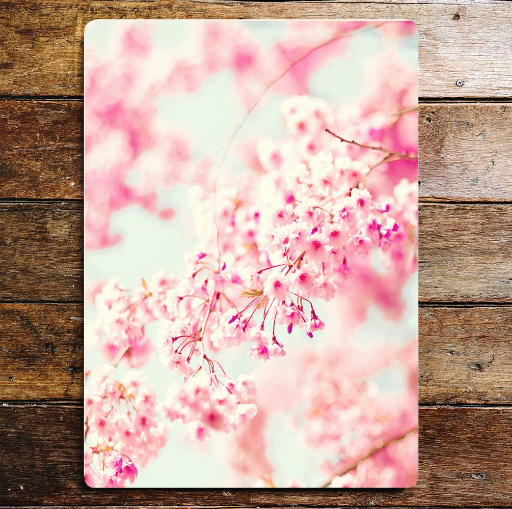 Pink Cherry Tree Blossom nature art Metal Sign Plaque