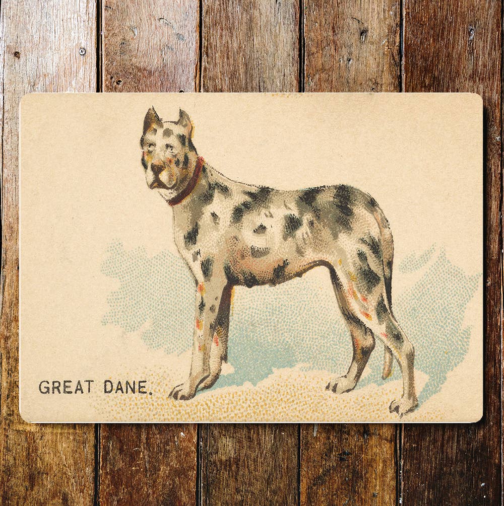 Great DaneDog breed vintage | Metal Sign Plaque