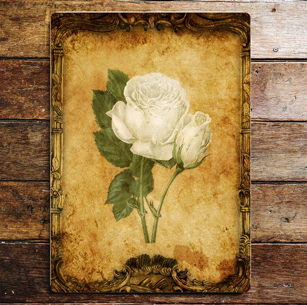 White Rose Stems Card Vintage | Metal Sign Plaque