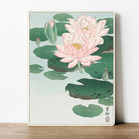 Waterlily Pretty Cute Flower Pink Water | Metal Sign Plaque