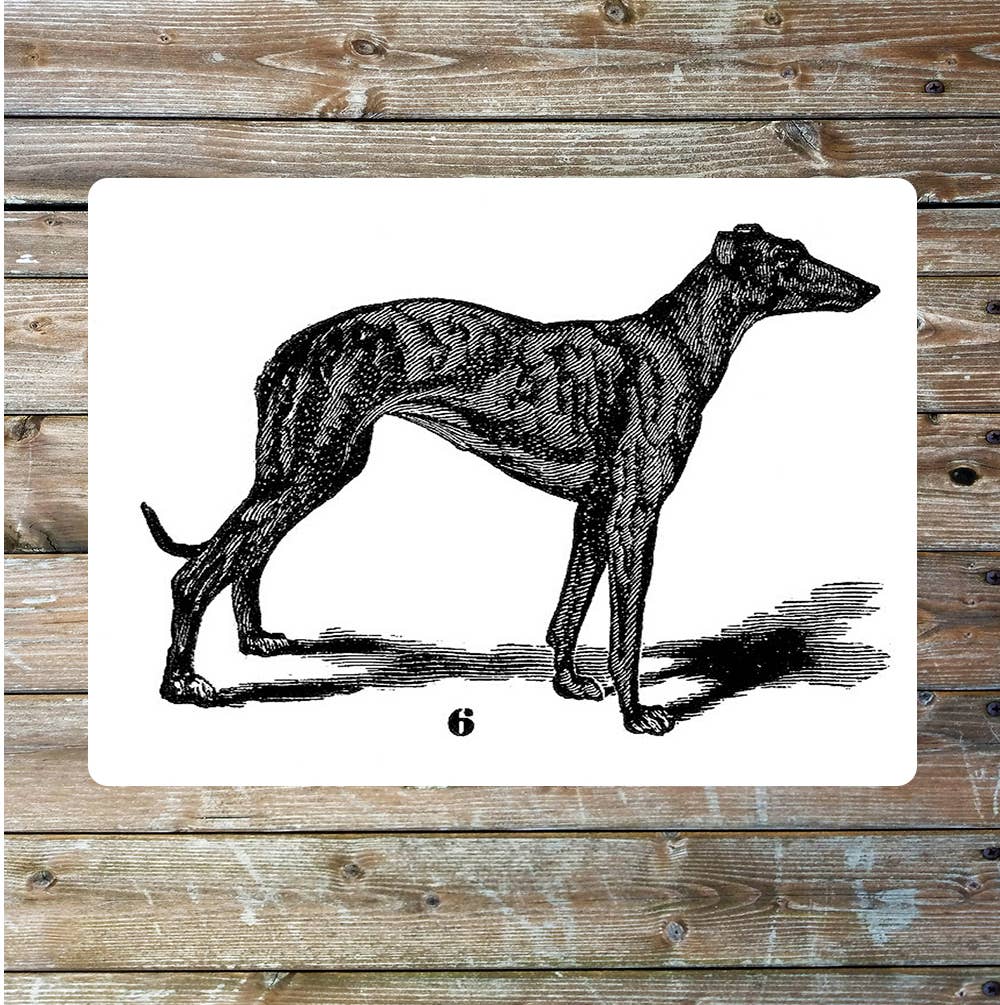 GreyhoundDog black and white art | Metal Sign Plaque