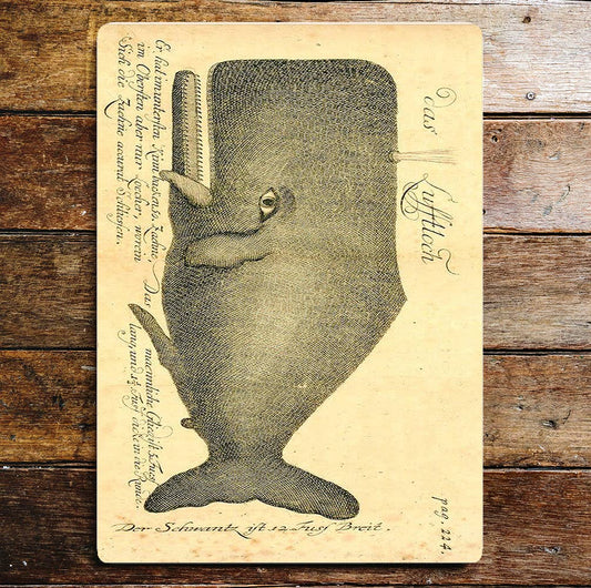Whale  | Metal Wall Sign Plaque