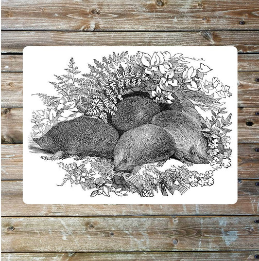 Hedgehog nature wildlife vintage art | Metal Sign Plaque
