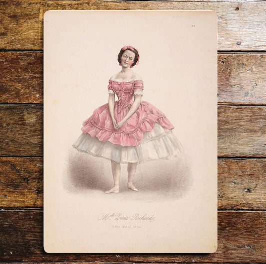 Vintage Ballerina Pink Dress Shoes | Metal Sign Plaque