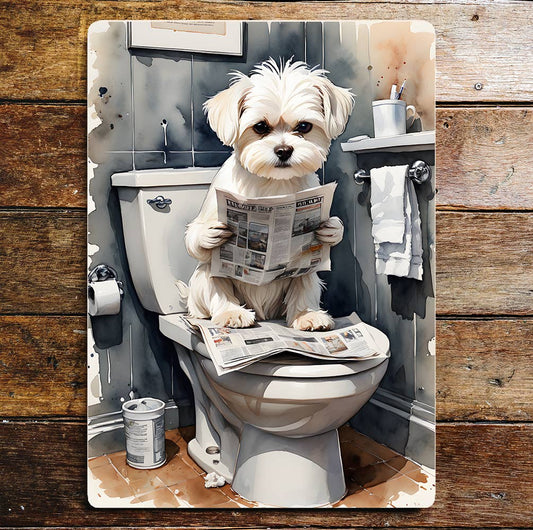Maltese Dog On the Toilet Bathroom | Metal Sign Plaque