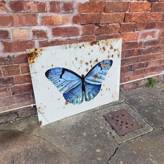 Vintage Butterfly with rust | Metal Sign Plaque