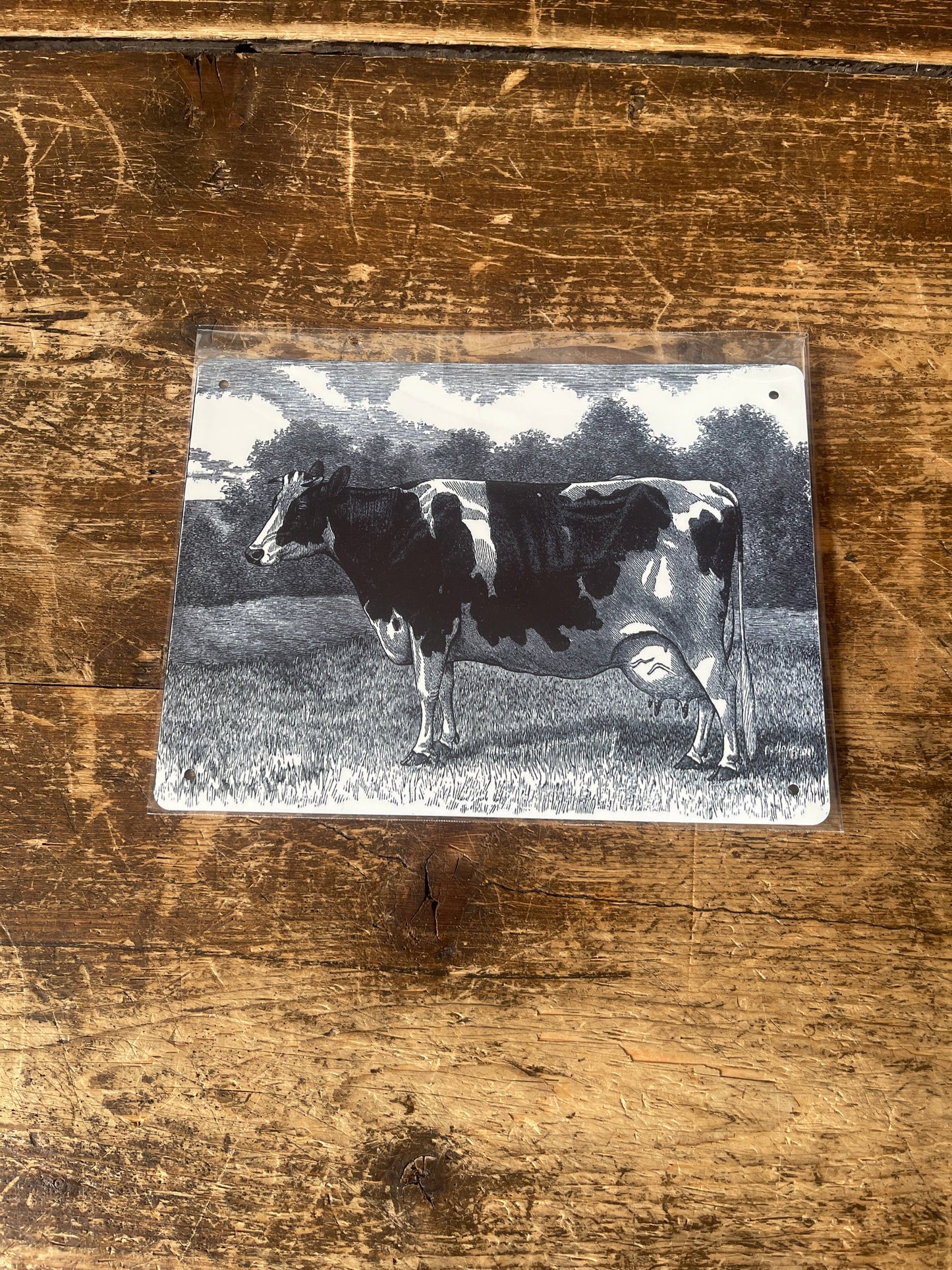 Cow Illustration | Metal Vintage Wall Sign