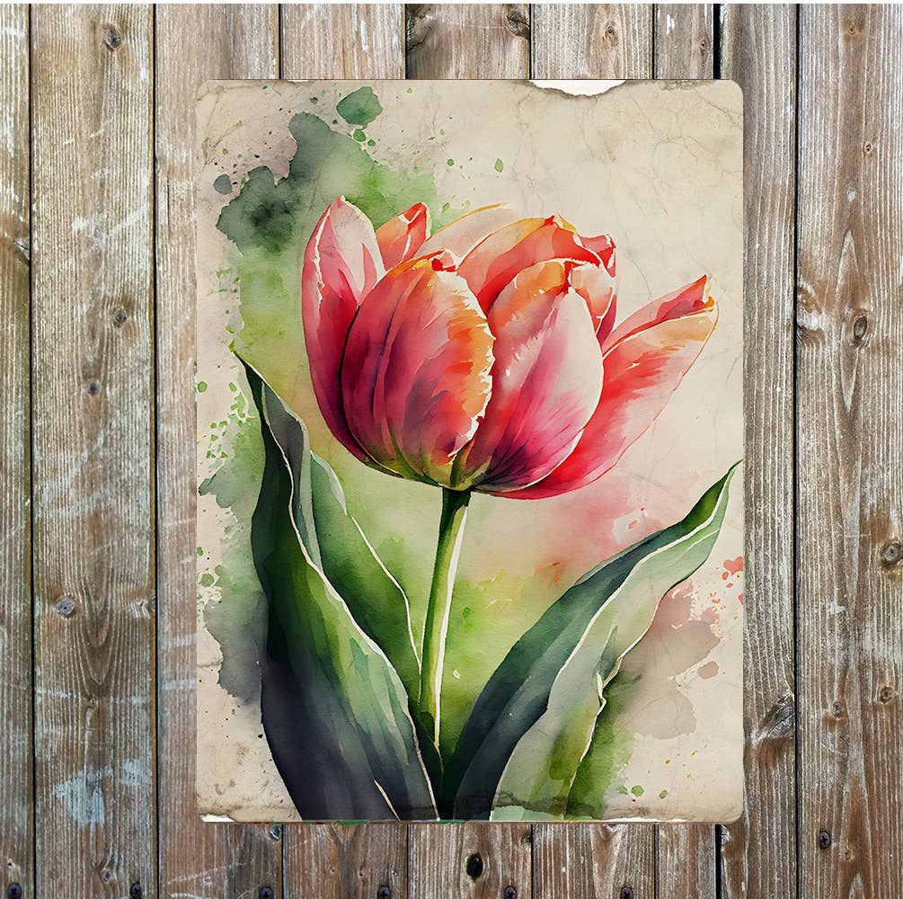 Pink And Yellow Open Tulip Flower Portrait Metal Sign Plaque