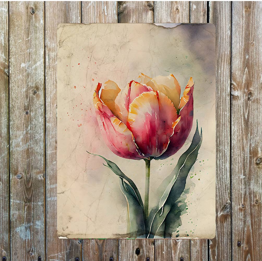Pink And Yellow Tulip Flower Portrait Metal Sign Plaque