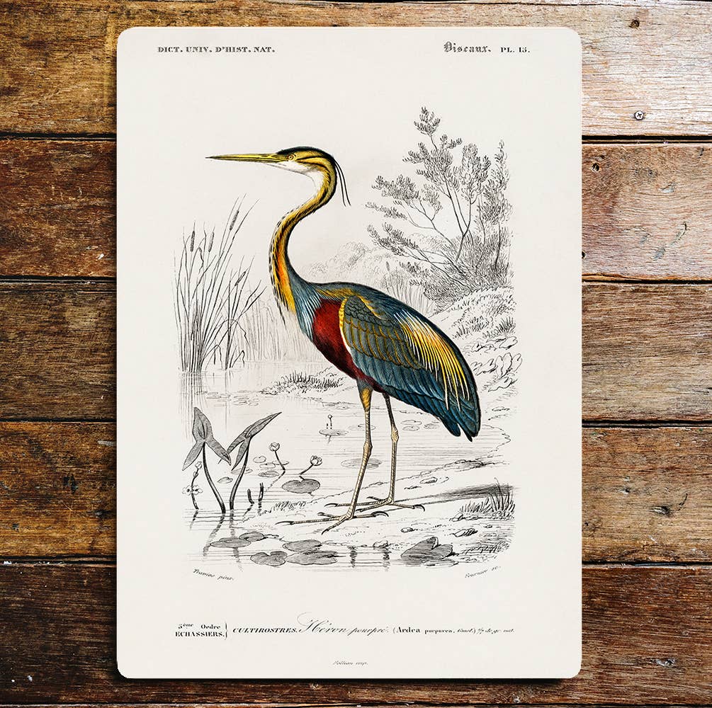 Colourful Heron Pond Life | Metal Sign Plaque