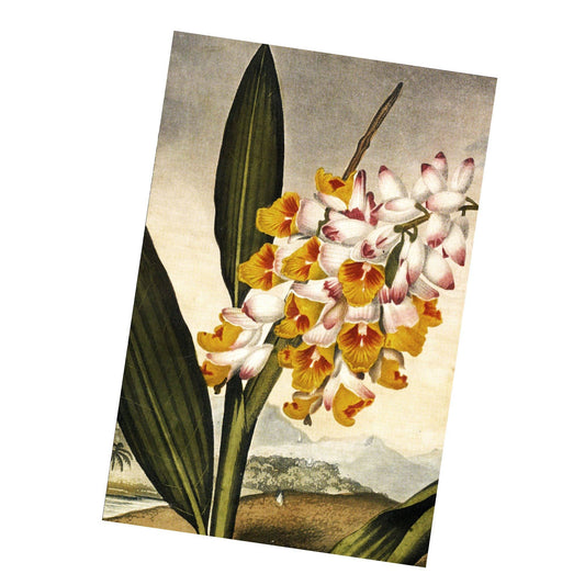 Flora Vintage Botanical Plants flowers | Metal Sign