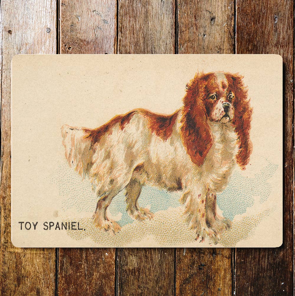 SpanielDog breed Metal Sign Plaque